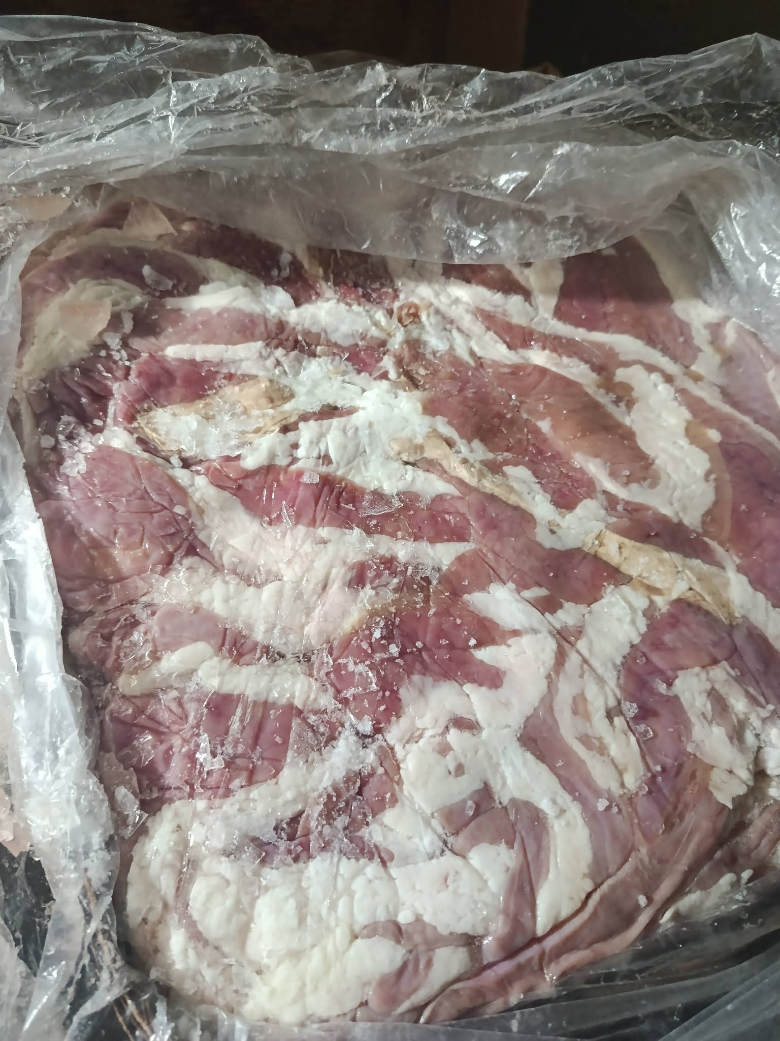 Buy Beef Intestines