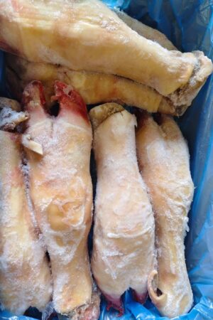 Beef Feet
