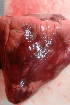 Beef Heart