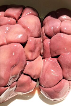 Beef Kidney