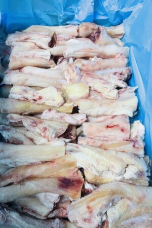Beef Tendon