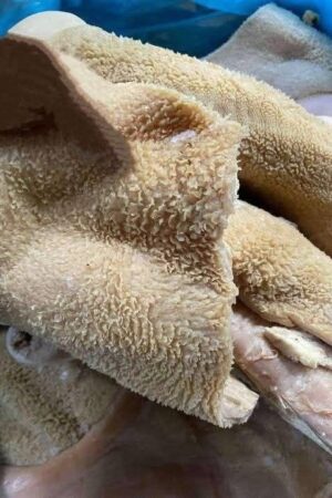 Beef Tripe