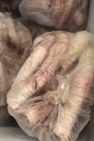Frozen Beef Trachea