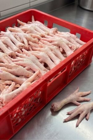 Frozen Chicken Feet