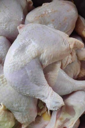 Frozen Chicken Leg Quarter