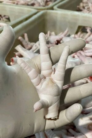 Frozen Chicken Paws