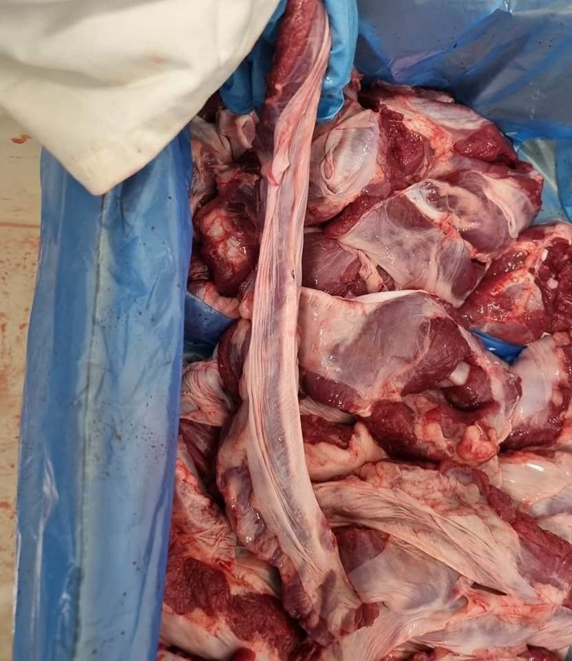 PORK DIAPHRAGM - Image 3