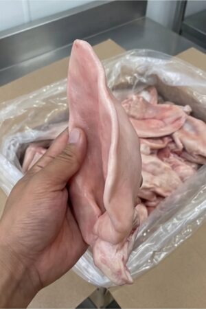 Frozen Pork Ear