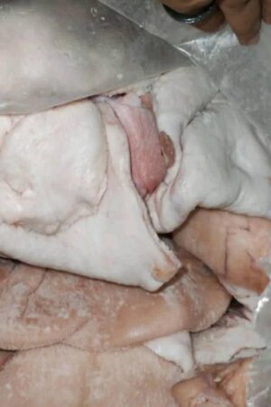 Frozen Pork Fat