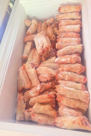 Frozen Pork Feet