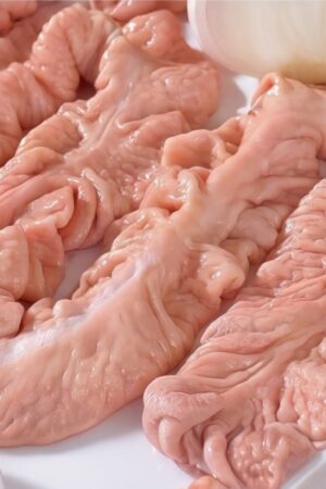 Frozen Pork Intestines