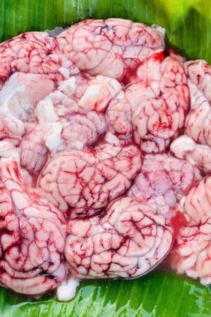 Pork Brain