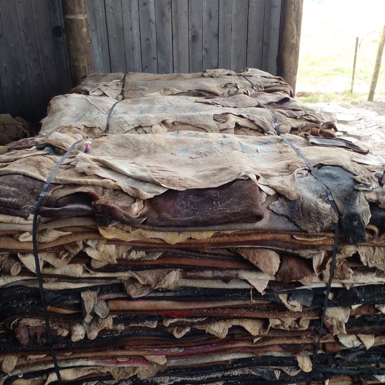 Buy Raw Cow Hides